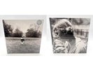 Bundle For camaga46: TAYLOR SWIFT Folklore Running Like Water & Stolen Lullabies