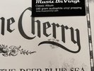 Between the Devil & the Deep Blue Sea by Black Stone Cherry (Record, 2019)
