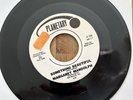 Margaret Mandolph “Something Beautiful” 7” Vinyl On Planetary Records