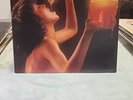 OHIO PLAYERS-Honey VINYL LP Gatefold 1975 Mercury Records (SRM-1-1038) NM VINYL