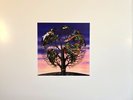 Talk Talk Laughing Stock  LP Album vinyl record 180g reissue 2016 on Polydor