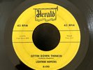 R&B Blues 45 - Lightnin' Hopkins - Sittin Down Thinking / Shine On Moon - Herald