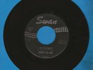 Mickey Lee Lane 45 RPM Hey Sah-Lo-Ney/Of Yessterday Swan 4222