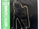 T. REX ELECTRIC WARRIOR T.REX SP205056 JAPAN OBI VINYL LP