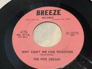 The Pipe Dream...Why Can't We Live Together/Can We Dance...1968 Garage/Psych