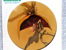 PARLIAMENT MOTOR BOOTY AFFAIR, LP VG VINYL, Rare Picture Disc,  1978 Casablanca