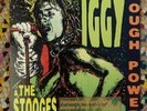 Iggy Pop and The Stooges Rough Power vinyl LP raw punk