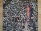 SIOUXSIE and the BANSHEES - JuJu. US Polydor LP. 1981 Punk. With Free Single. Ex