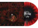 CANNIBAL CORPSE - TORTURE, 2024 EU RED/BLACK SPLATTER vinyl LP, #069/300  SEALED