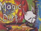 REDUCED-Magic Dirt-Signs Of Satanic Youth-Vinyl, 12