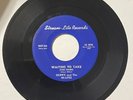 Skippy & Hi-Lites DOO WOP 45 Waiting To Take You Home / Old Man River VG++ HEAR