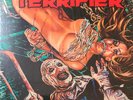 TERRIFIER SOUNDTRACK RED YELLOW VINYL RARE PAUL WILEY HORROR SLASHER 80/500