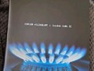 Ginger Wildheart Gass Mark 2 Gatefold Double Vinyl LP. Unplayed.