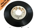 Towanda Barnes - You Don't Mean It / Find Someone To Love Northern / Soul EX