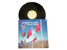 Robert Plant 12