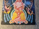 Hawkwind - The Space Ritual Live Album Double Vinyl Record Lp