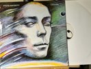 Steve Hackett – Cell 151 Charisma Vinyl, 12