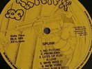 Last Chance   Sex Pistols : Spunk Lp