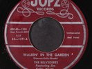 BELVEDERES: walkin' in the garden / buona sera JOPZ 7