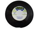 45 RECORD - NORMAN FOX AND THE ROB ROYS - DANCE GIRL DANCE