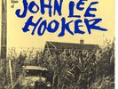 JOHN LEE HOOKER The Country Blues Of... (1959) Lp Riverside RLP 12-838 DG MONO