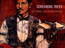Screaming Trees Last Words The Final Recordings White Vinyl LP Mark Lanegan Dust