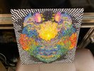 Meatbodies s/t self-titled LP In the Red 2014 black vinyl EX [Ty Segall]