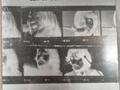 NEW- The Beatles - Let It Be... Naked 2003 UK/Euro LP + 7