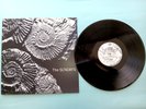 THE SUNDAYS READING WRITING & ARITHMETIC 1990 UK VINYL LP ROUGH TRADE INDIE ROCK