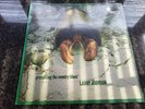 RARE BLUES-LARRY JOHNSON-PRESENTING THE COUNTRY BLUES-UK BLUE HORIZON STEREO LP