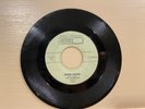 The GAMBLERS - Moon  Dawg'/ LSD-25 45rpm 1960 VG+