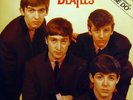 The Beatles Love Me Do MONO Vinyl Single 12inch NEAR MINT Parlophone