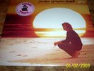 NEIL DIAMOND ( JONATHAN LIVINGSTON SEAGULL ) ORIG 1973 SEALED vinyl LP w/ HYPE