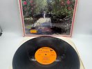 Conjunto Chaney El Conjunto Del Amor 1989 Hitt Makers Latin Salsa Vinyl Record