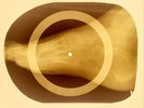 X-RAY USSR ROENTGEN BONES RECORD 78 rpm ORIGINAL OLD RIBS 713