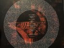 Mer De Noms by A Perfect Circle Vinyl LP. Puscifer V is for Vagina Vinyl LP