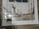 Bilmuri - American Motor Sports Vinyl (White Opaque)
