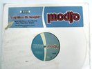 Modjo 12