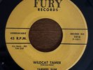 TARHEEL SLIM - Wildcat Tamer b/w Number 9 Train 45 (Fury) Killer R&B Rockabilly