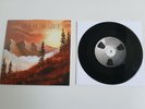 WEEZER BACK TO THE SHACK VINYL 7