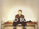 BOWIE, David - The Buddha Of Suburbia (remastered) - Vinyl (2xLP)
