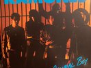 NEW Ramones Animal Boy LP  2022 140 gram Vinyl Record Joey Dee Dee King Ramone