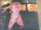 HAWKWIND - 