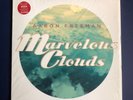 Aaron Freeman (Gene Ween) Marvelous Clouds Vinyl LP Original Partisan Records