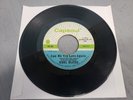 KOOL BLUES Can We Try Love Again CAPSOUL 7