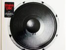 KINGDOM COME In Your Face LP 1989 1st Press PROMO Lenny Wolf STONE FURY Vinyl