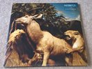 Interpol - Our Love To Admire, original 12