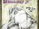 Dinosaur Jr. - You're Living All Over Me LP - vinyl NEW