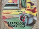 A Flock Of Seagulls S/T 1982 Debut Album Picture Disc Vinyl LP EX/EX