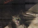 Widowmaker - SEALED COPY Of Too Late To Cry
